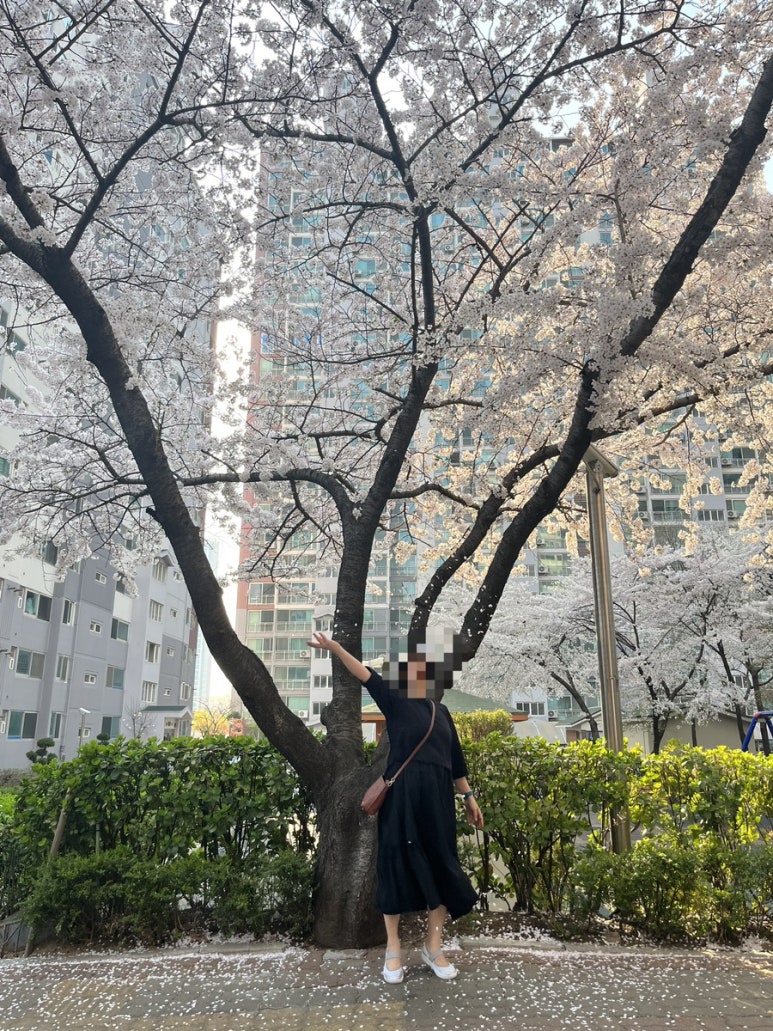 케냐의 평범다방 이미지