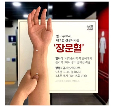 한정남의 샤오차이 이미지