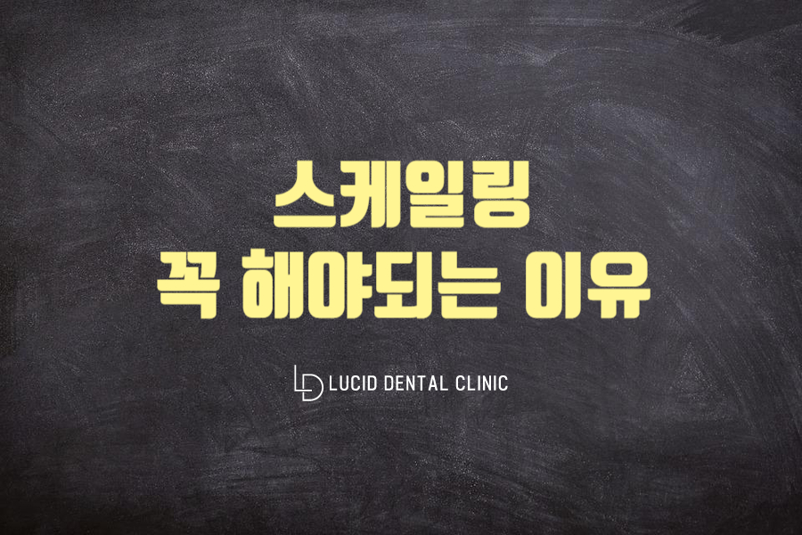루시드치과의원 이미지