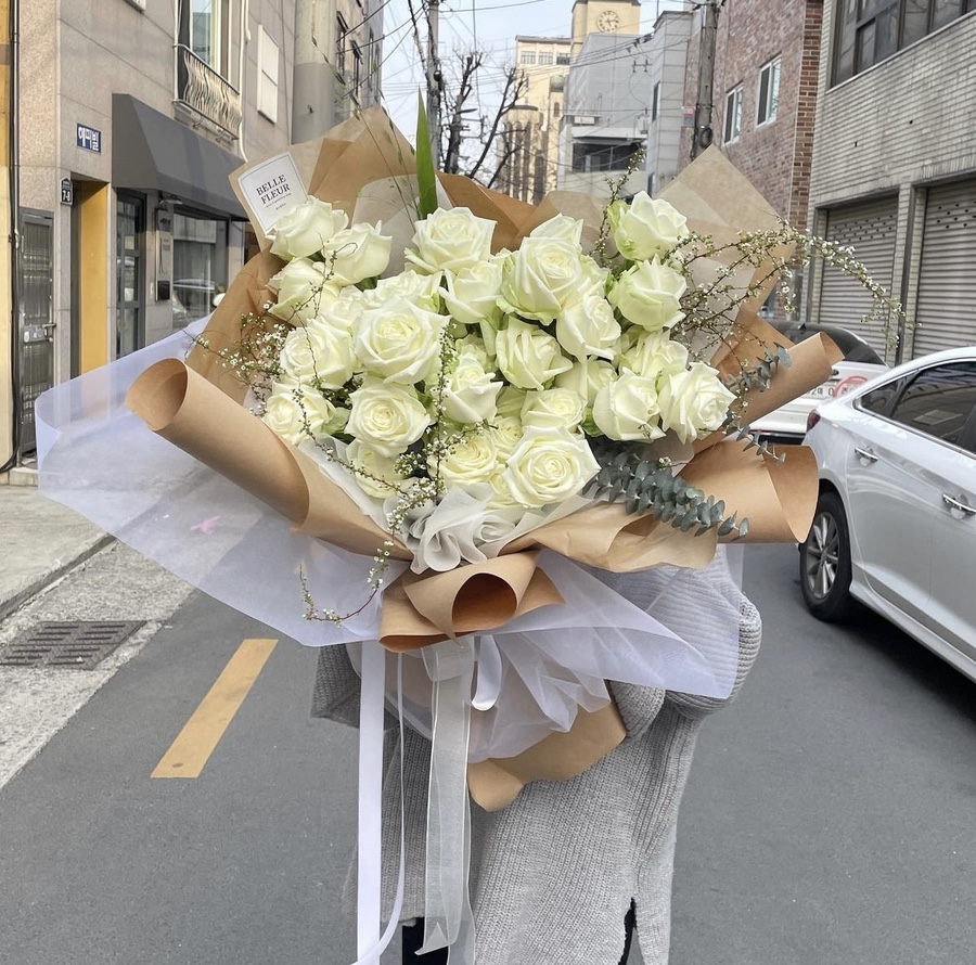벨르플레르 이미지