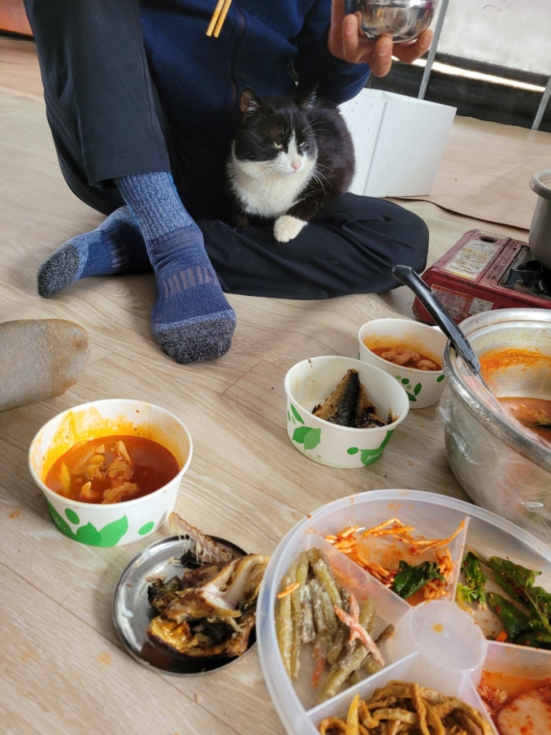 세종통운주 이미지