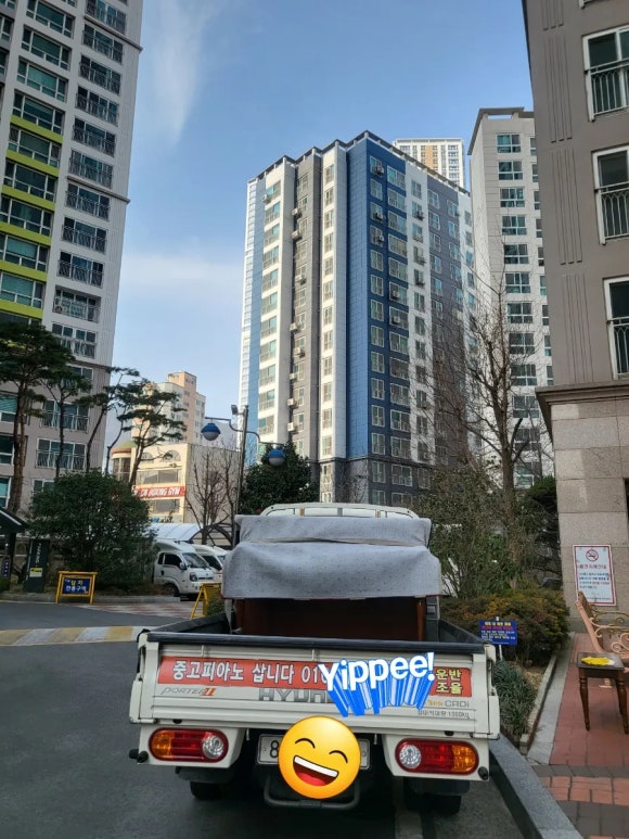 보라피아노 이미지