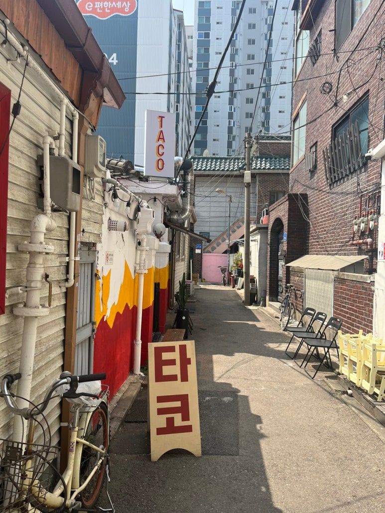 벨라또띠아 이미지
