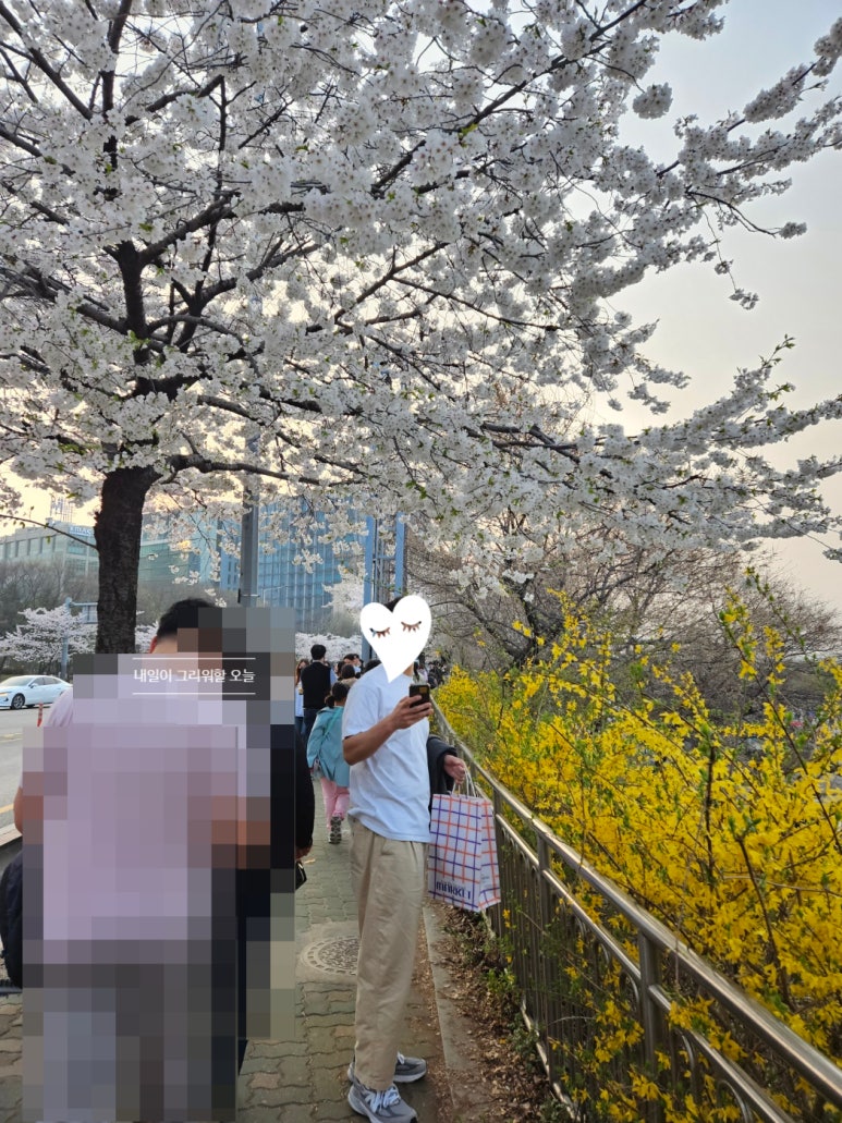 진성한우백화점 이미지