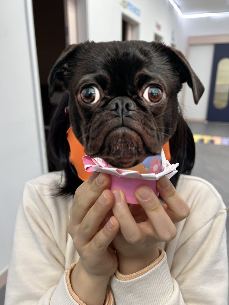 김쌤첼로 이미지