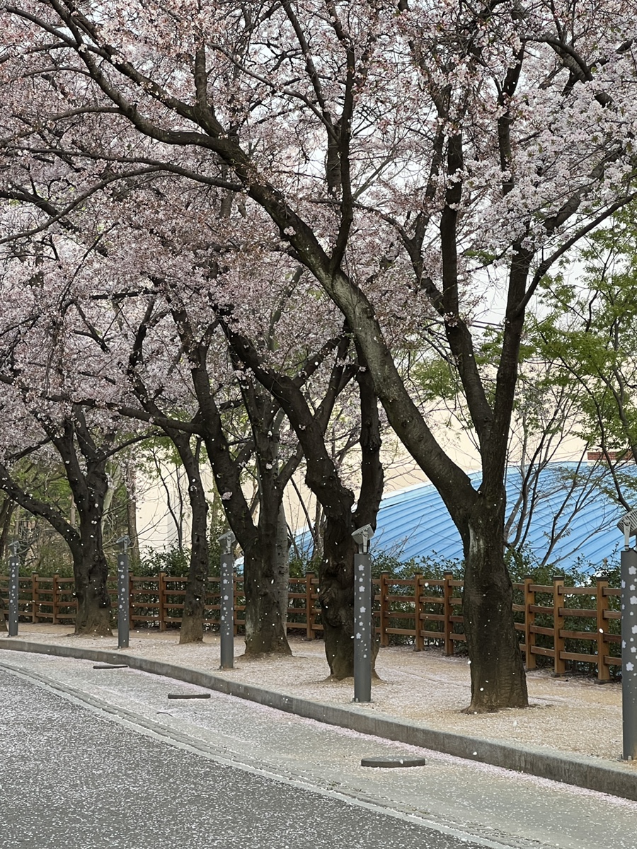 하루세끼부페 이미지