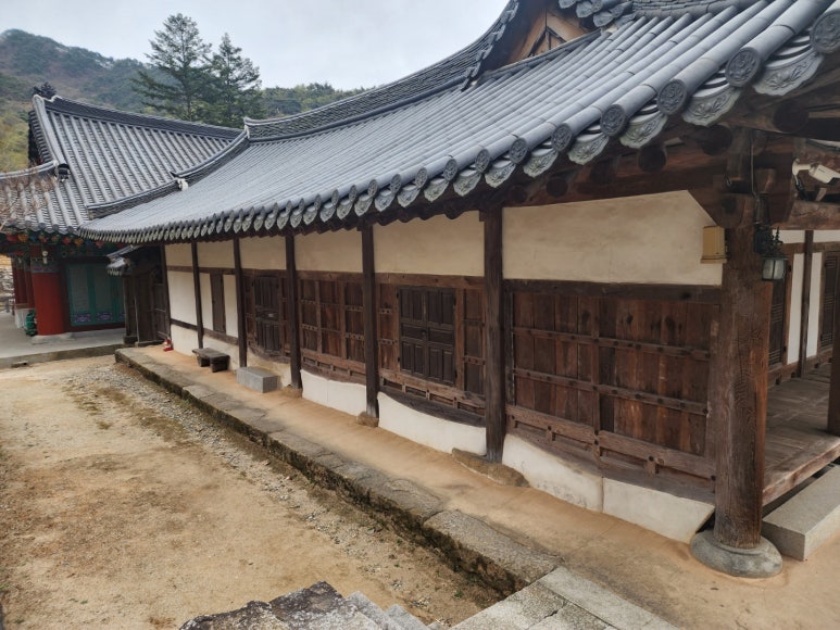 강라행정사사무소 이미지