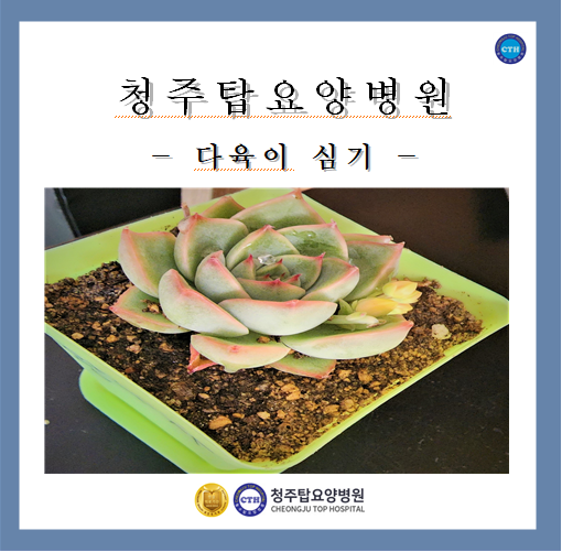 힐링탑 요양병원 이미지