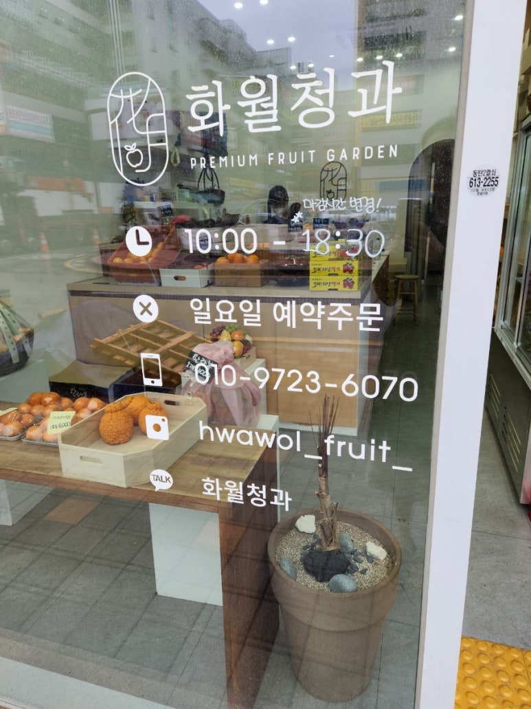 우성청과 이미지
