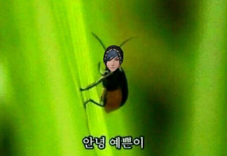 일상맥주 이미지