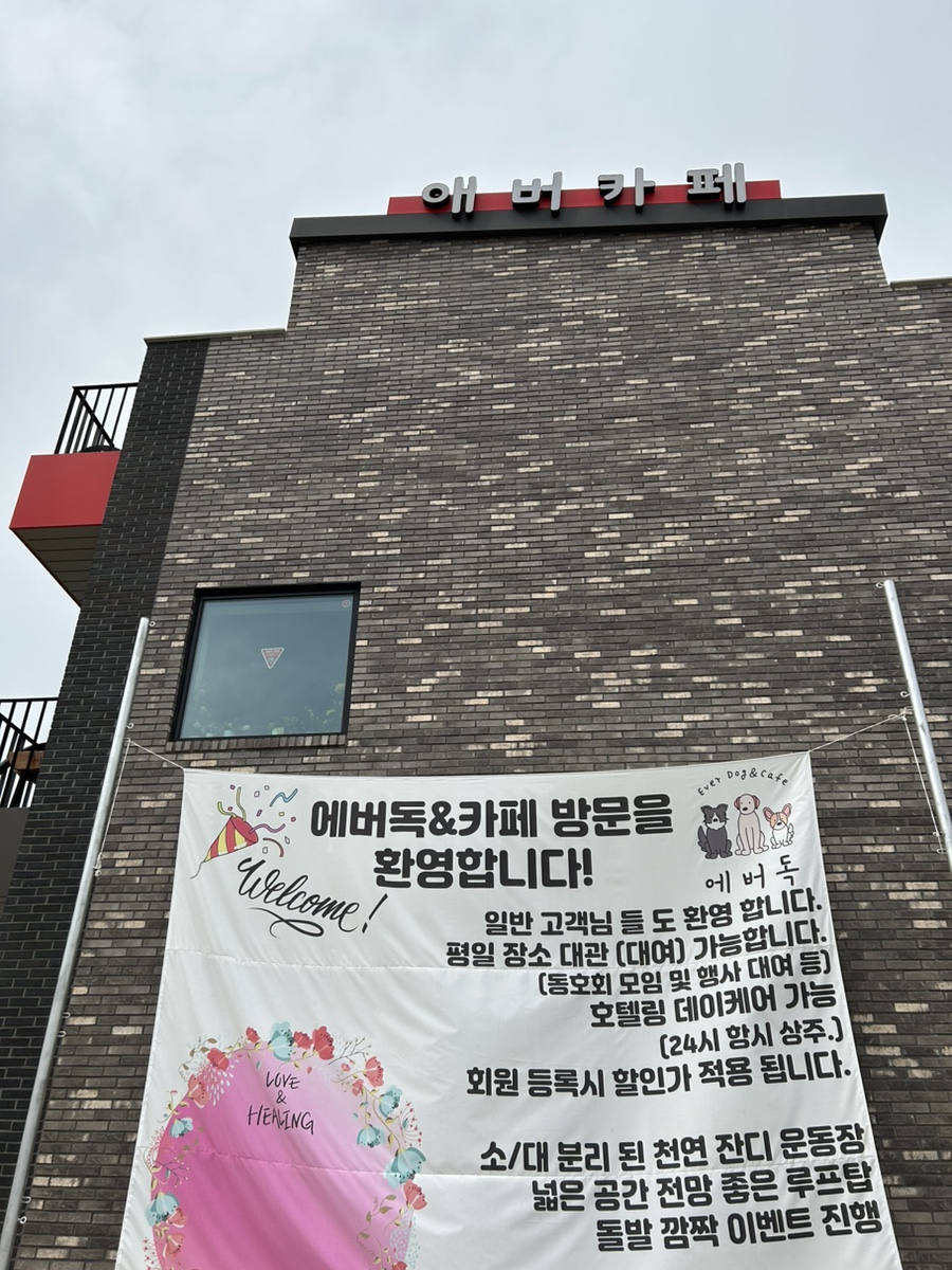 에버독 이미지
