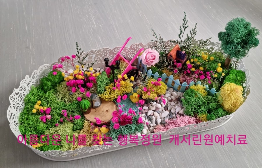 벤자민정원 이미지