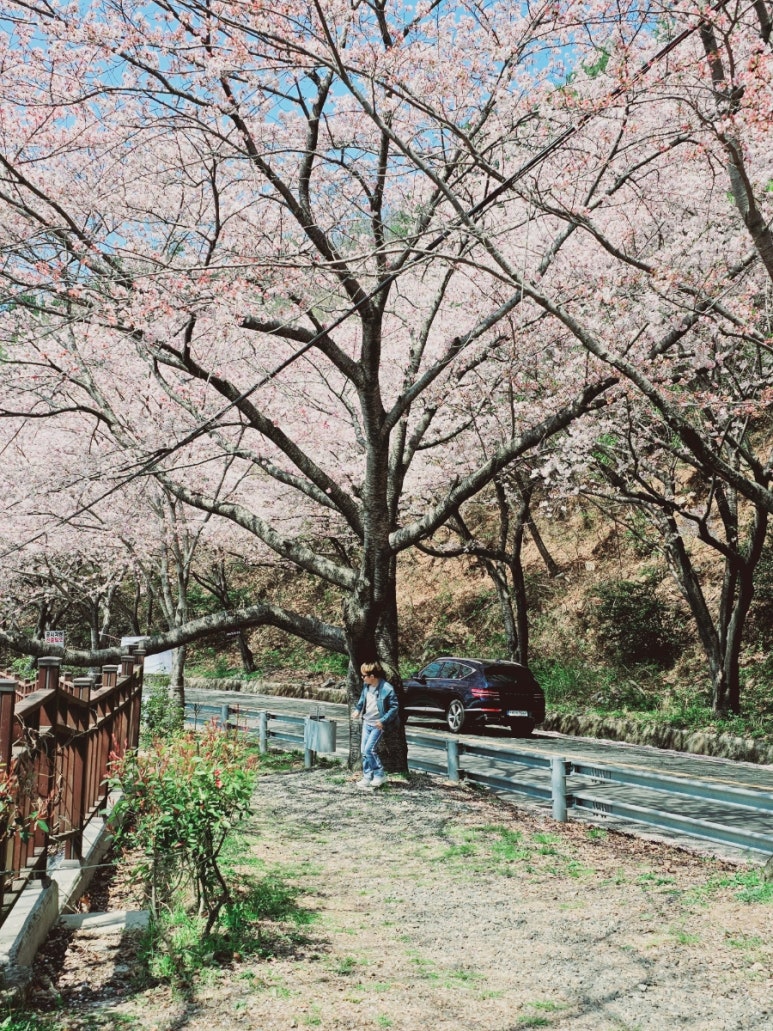 코웨이센터대리점 이미지