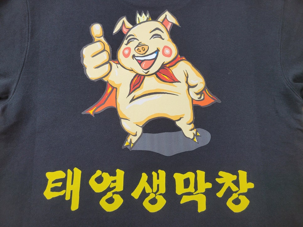 태영스크린 이미지