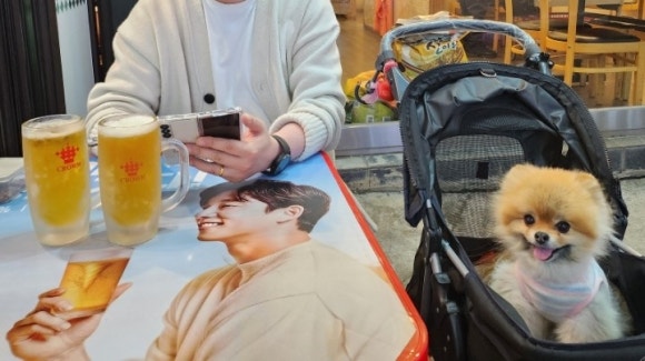 수시로스시 이미지