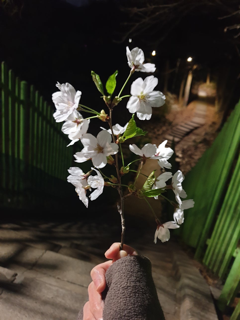 홍콩반점0410낙성대역점 이미지
