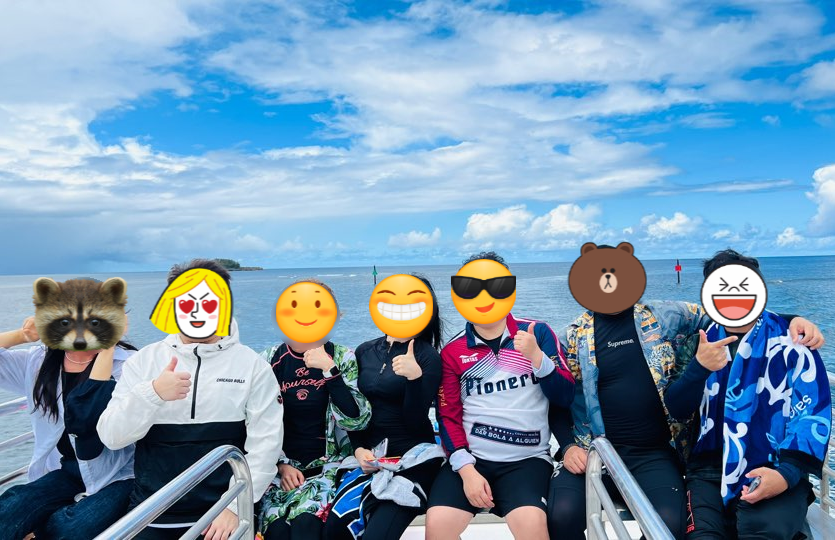 필릭플랜 이미지