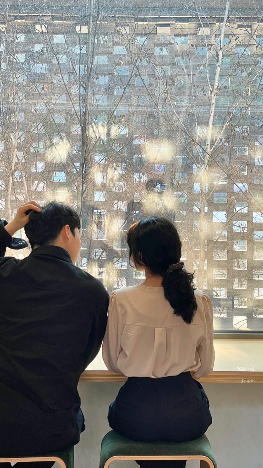 포옥차 이미지