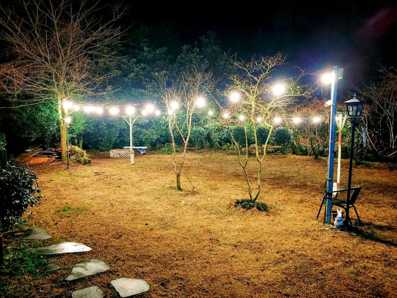 순덕이 이미지