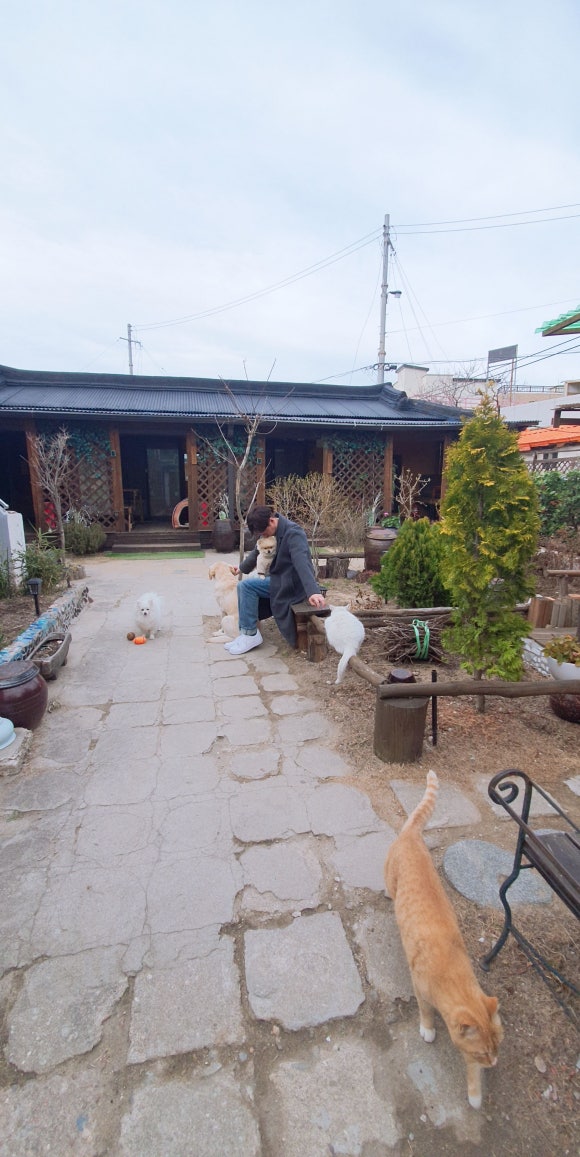 내린천광고 이미지