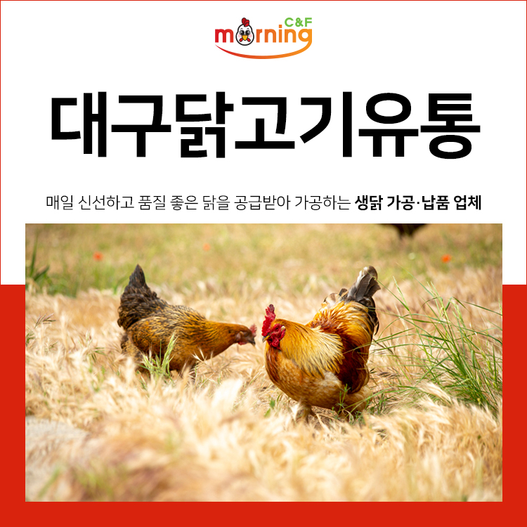 모닝유통 이미지