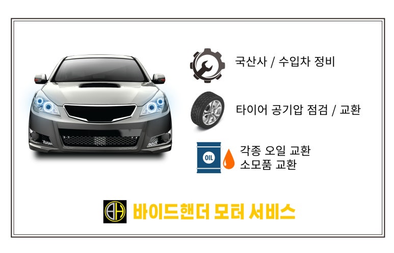 바이드핸더 이미지