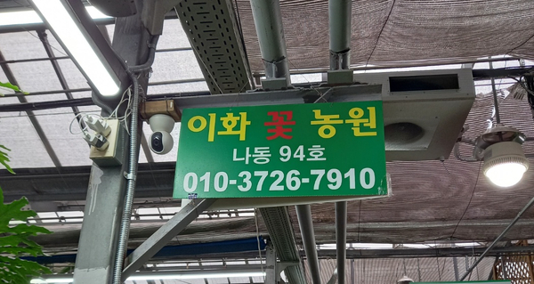 이화화훼 이미지