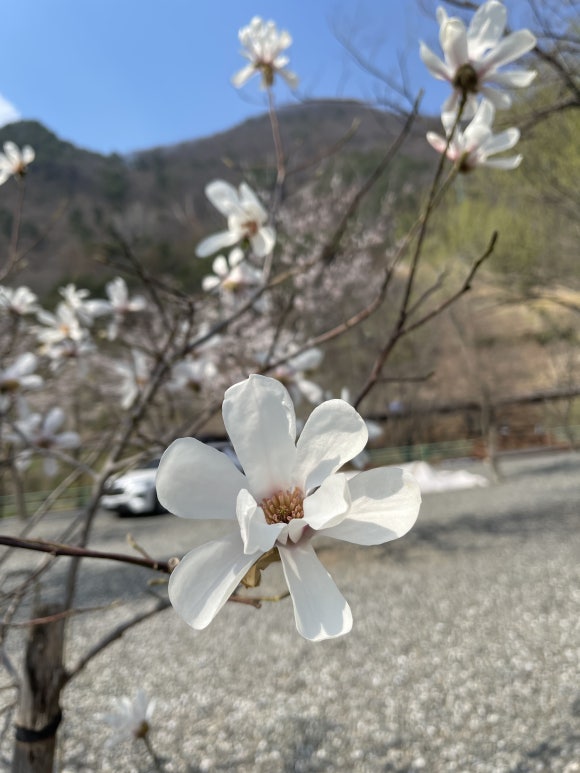 산솔 캠핑장 이미지
