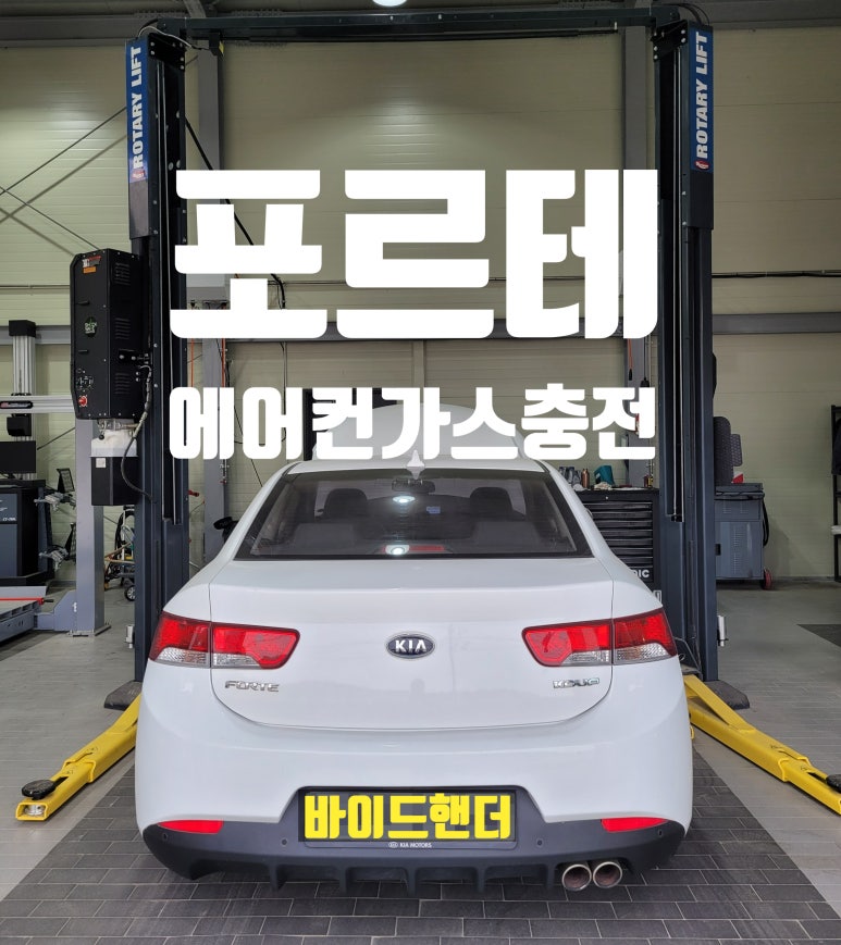 바이드핸더 이미지