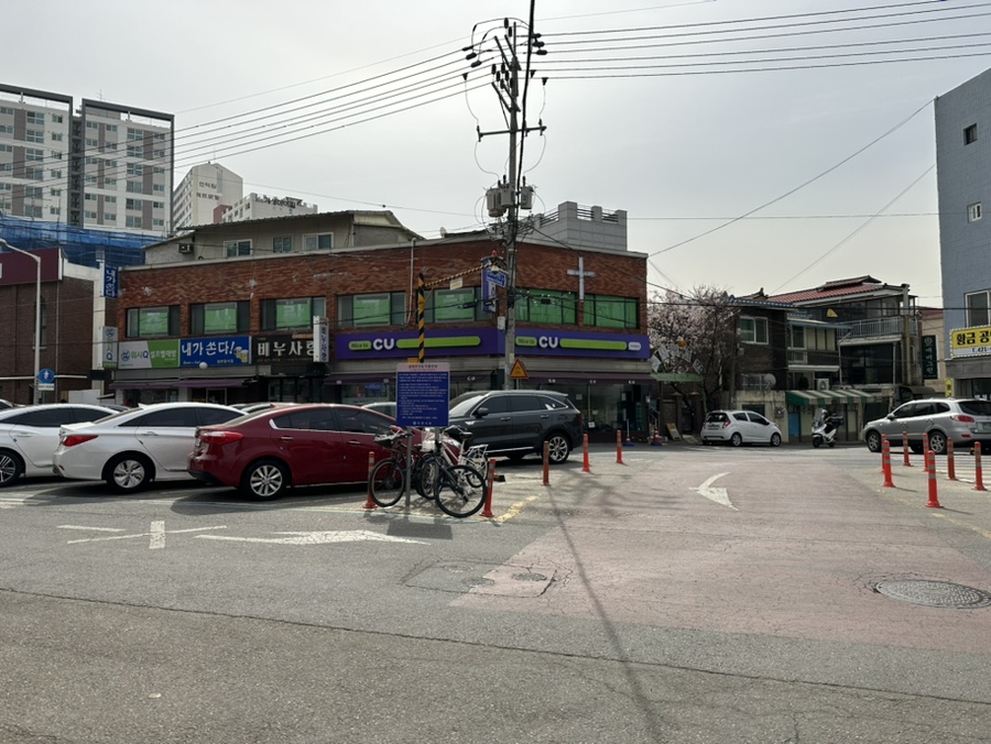 안양 홀썸스튜디오 강아지 사진 촬영 후기 — 사진 2