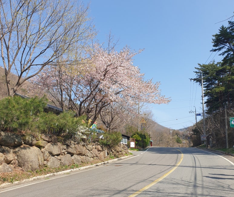 백운령민박가든 이미지