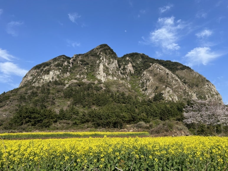 사계리서점 이미지