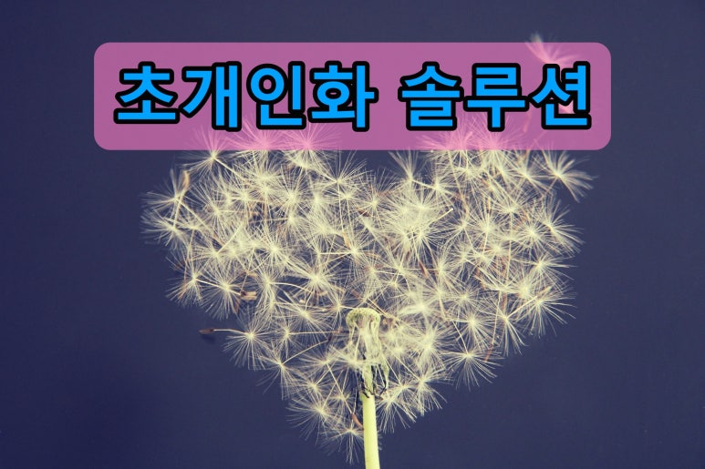 티아이컨설팅 이미지