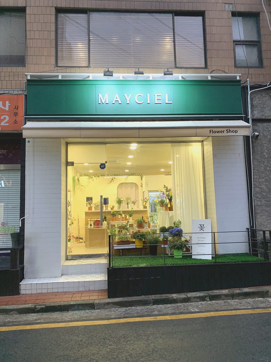 메이씨엘 이미지