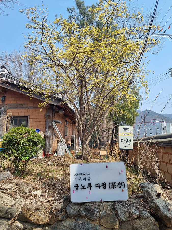 비목마을궁노루다정 이미지