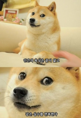 매일넷 이미지