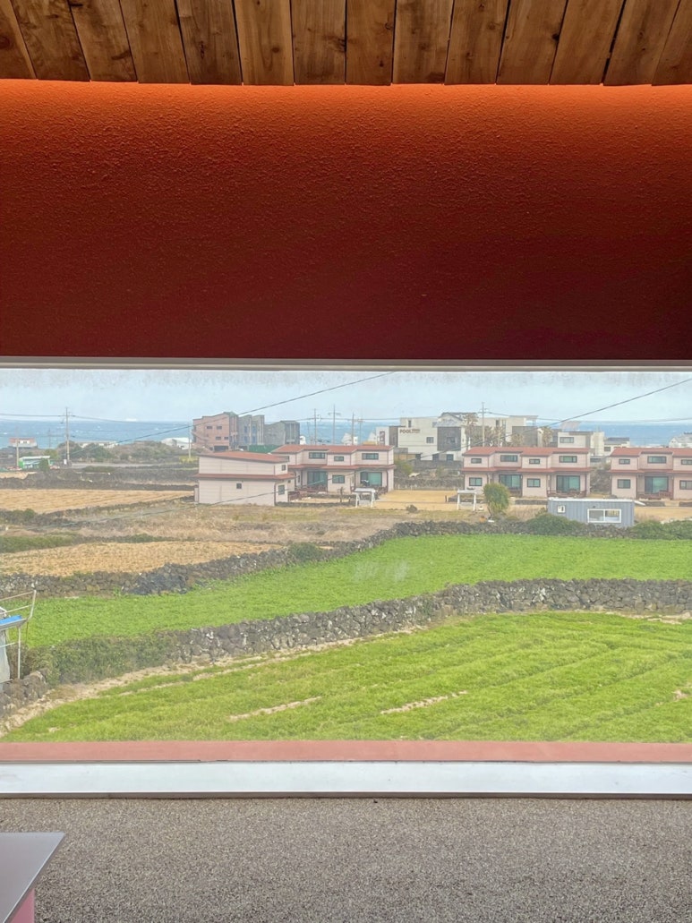 수피아제주 이미지
