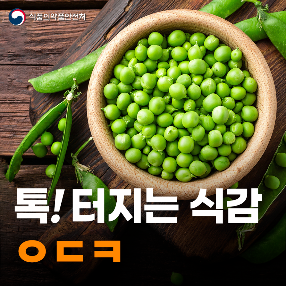 콩깍지 이미지