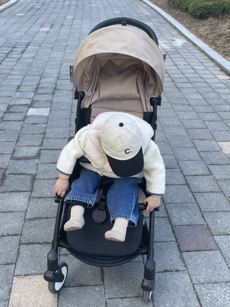 베이비또율 이미지