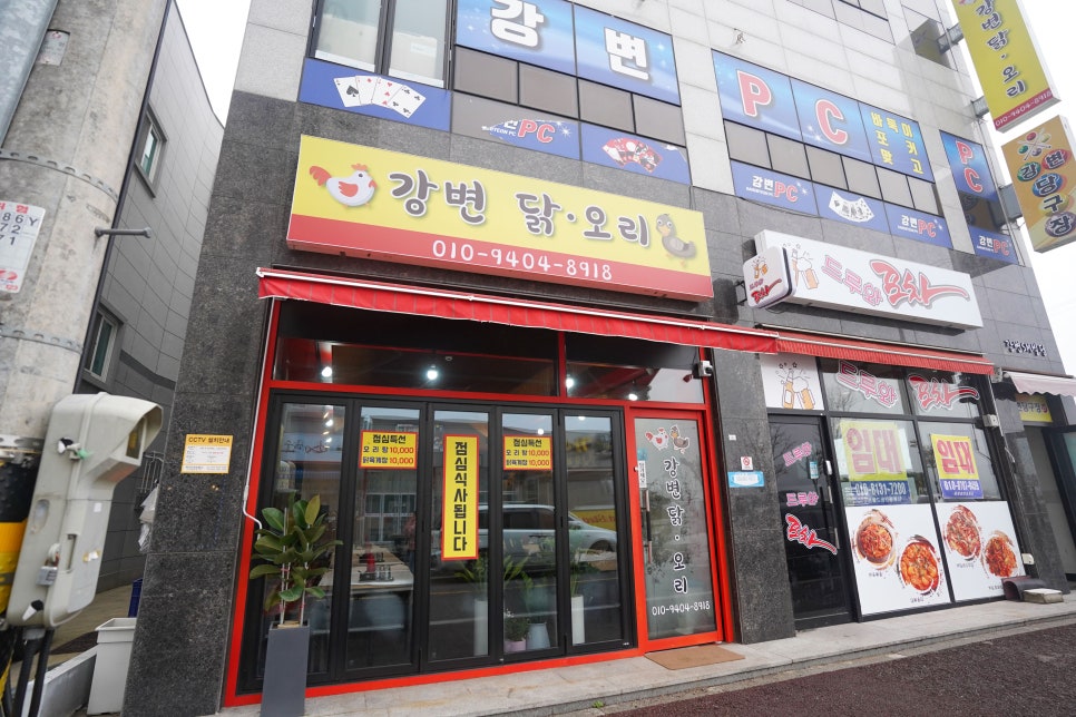 강변오리 이미지