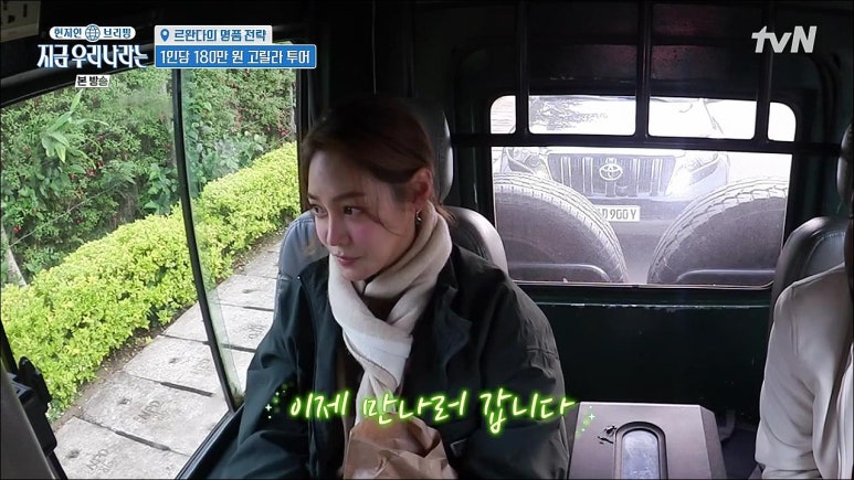 노비카캐시미어 이미지