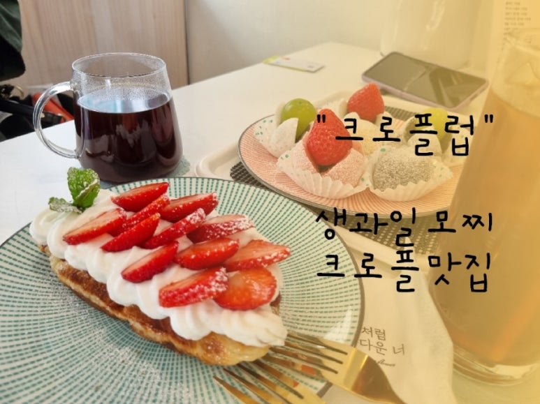 크로플럽 이미지