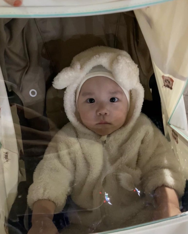 베이비또율 이미지