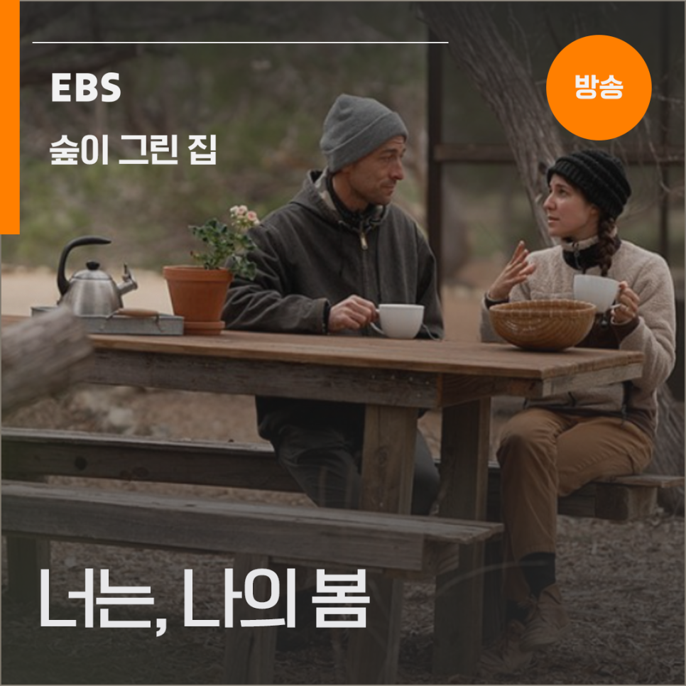 지구촌더불어숲 이미지