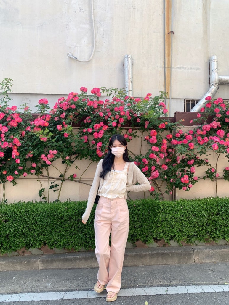르브아 이미지