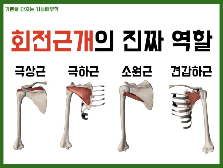 짐앤테라피PT&PILATES 이미지