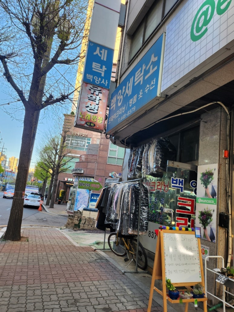백양세탁 이미지