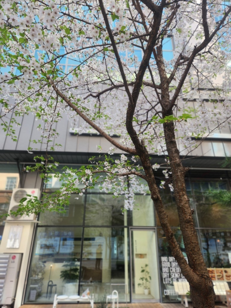 최지수작업공간 이미지