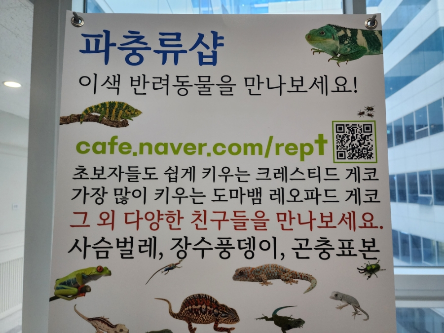 파블박사 이미지
