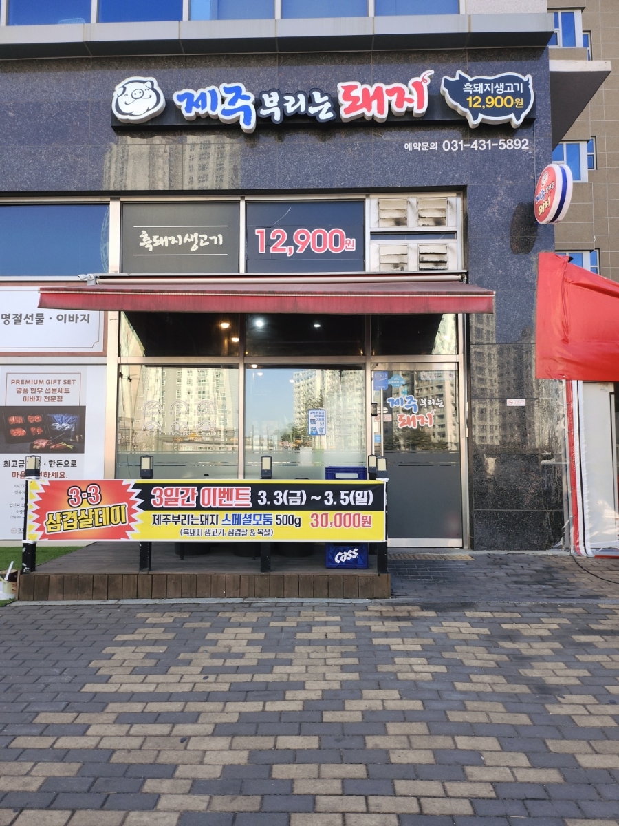 제주부리는돼지 이미지